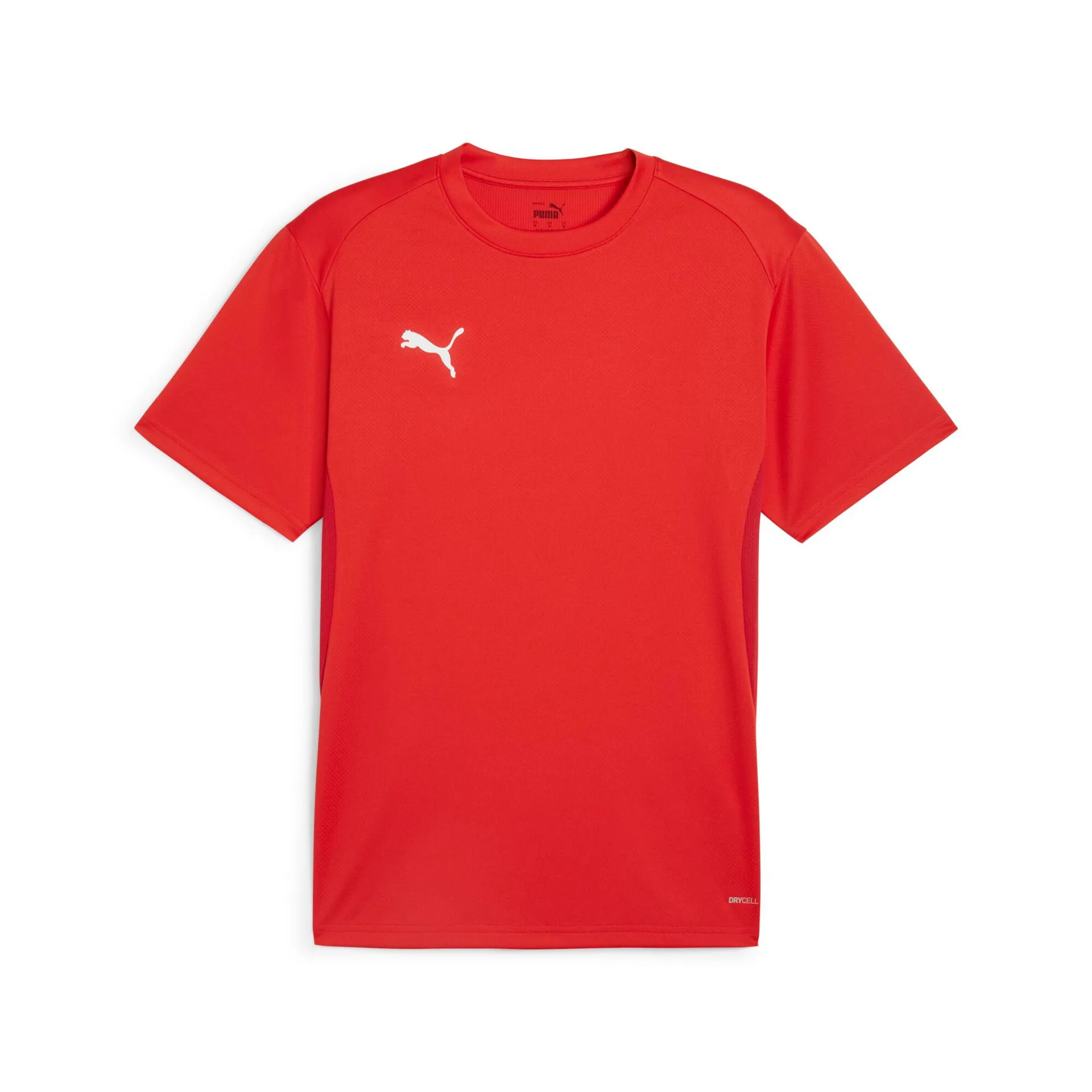 Футболка PUMA teamGOAL Jersey 658636 thumbnail 1