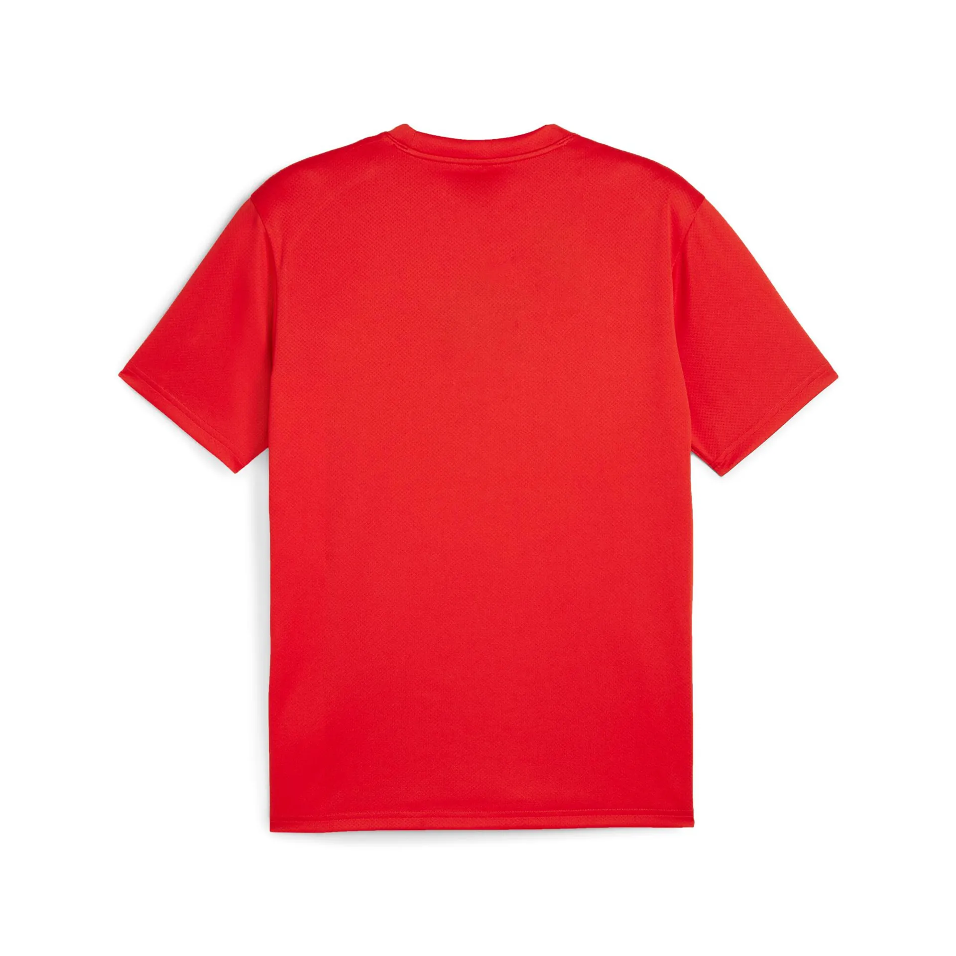 Футболка PUMA teamGOAL Jersey 658636 thumbnail 2