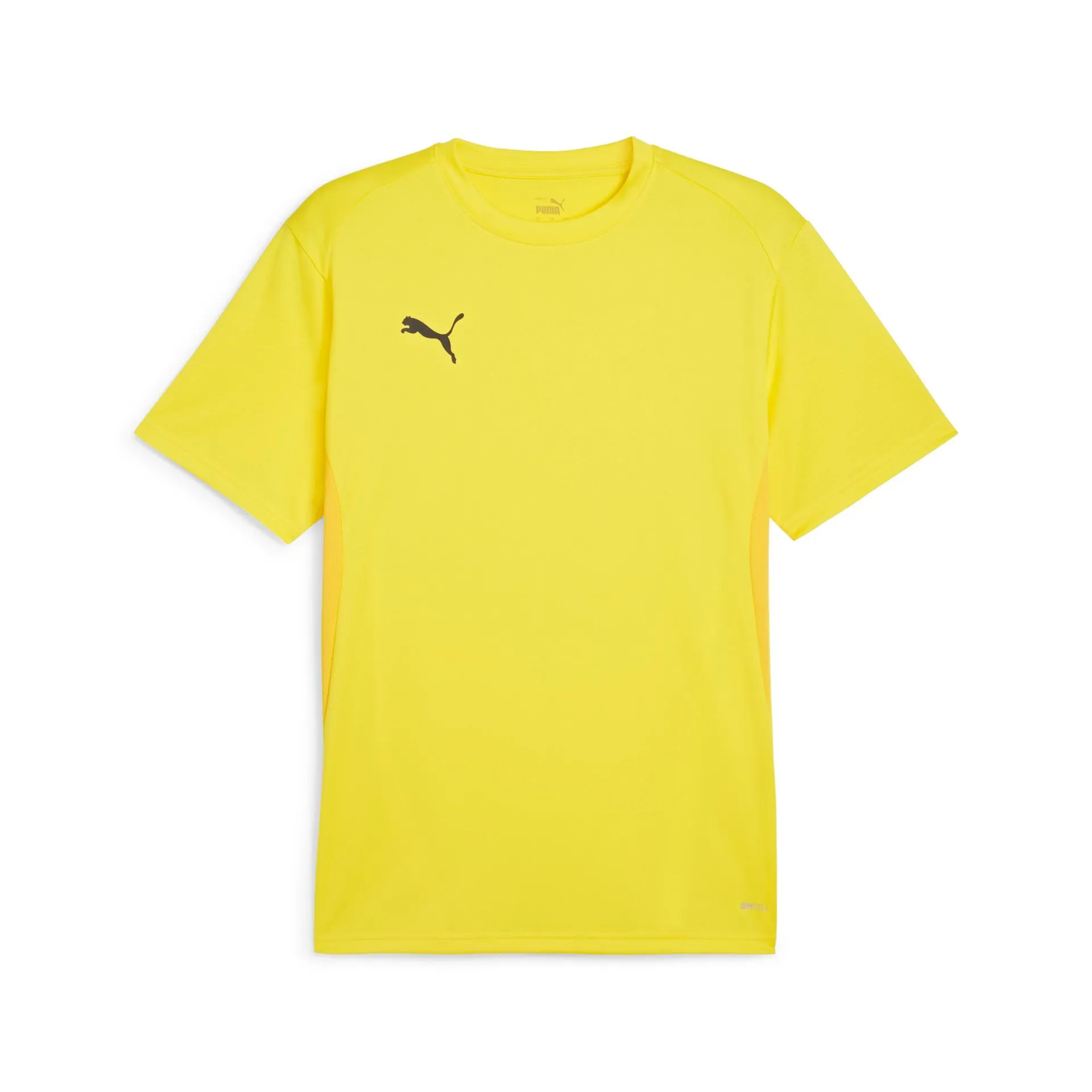 Футболка PUMA teamGOAL Jersey 658636 Жовтий