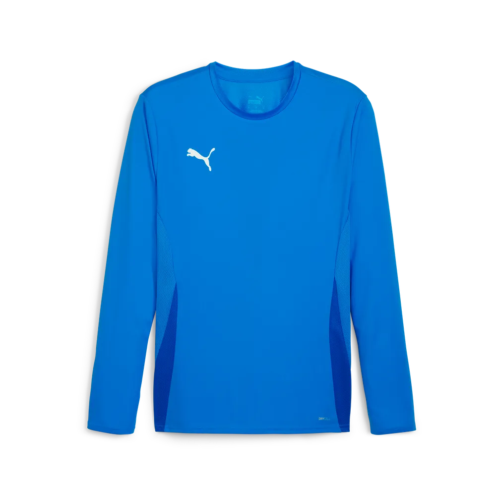Футболка PUMA  teamGOAL LS Jersey 705750 Синій