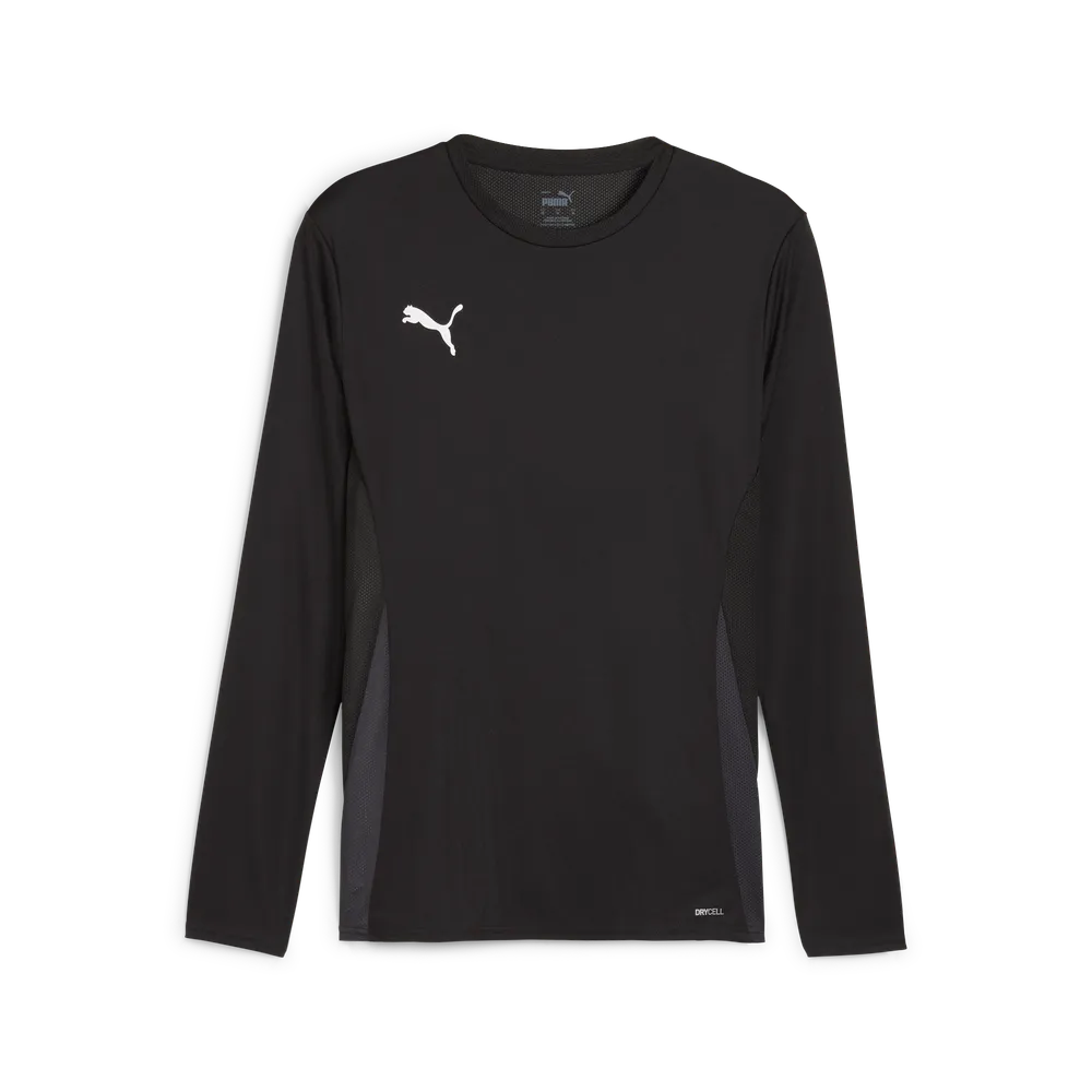 Футболка PUMA  teamGOAL LS Jersey 705750 Чорний