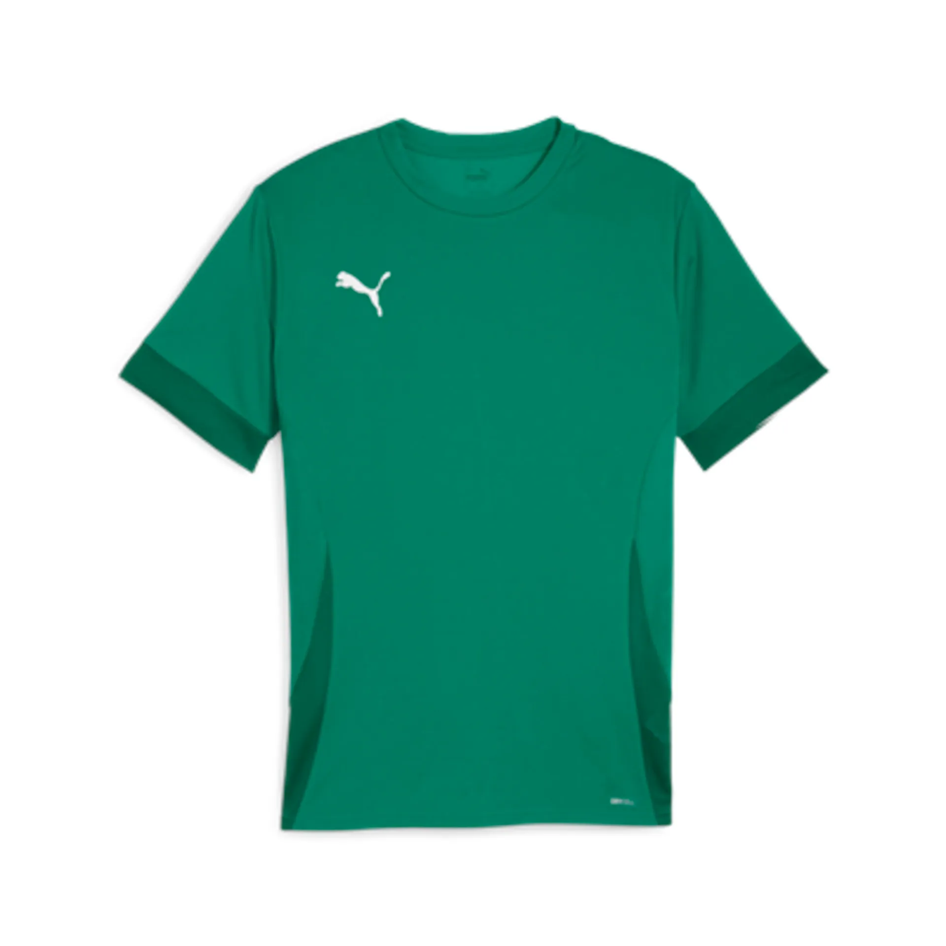 Футболка PUMA teamGOAL Matchday Jersey 705747 Зелений