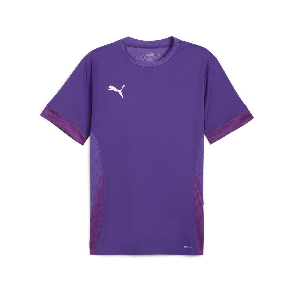 Футболка PUMA teamGOAL Matchday Jersey 705747 Фіолетовий