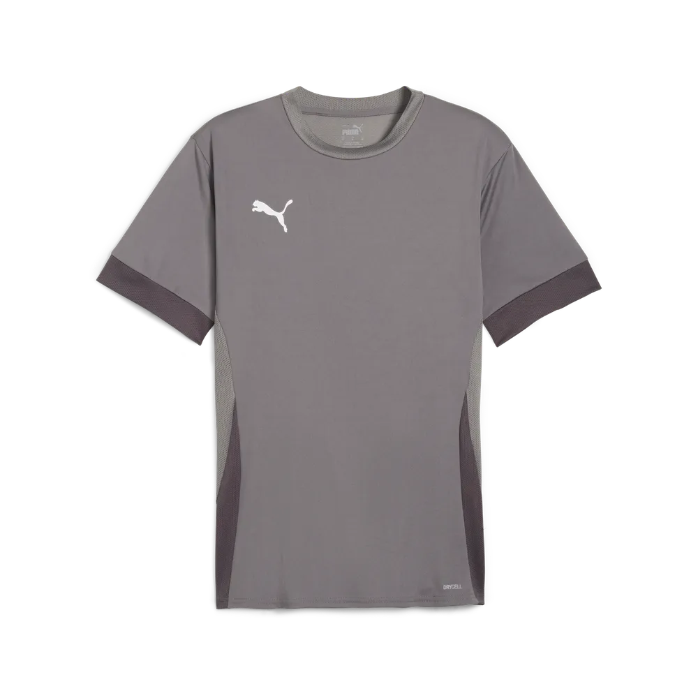 Футболка PUMA teamGOAL Matchday Jersey 705747 Сірий