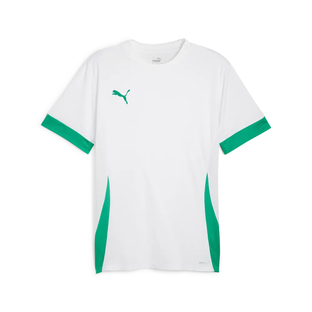 Футболка PUMA teamGOAL Matchday Jersey 705747 Білий/зелений