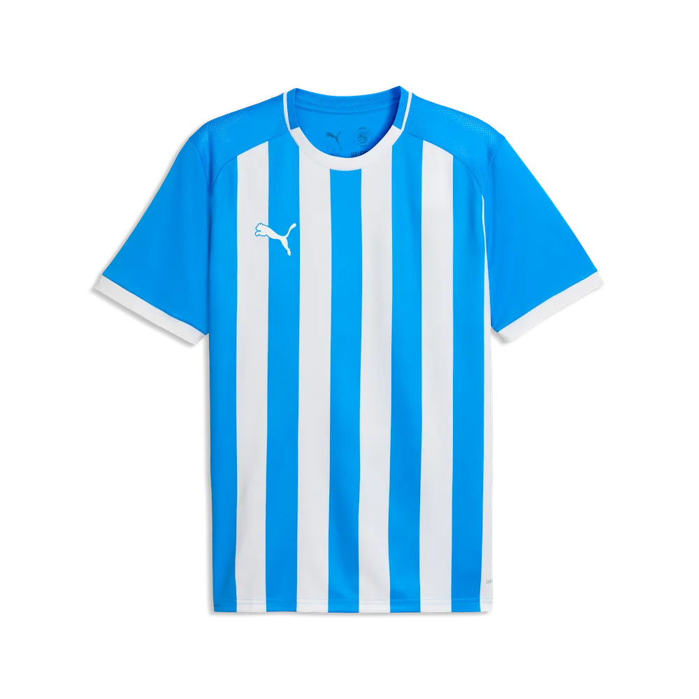 Футболка PUMA teamLIGA26 Striped Jersey 706550 Синій/білий