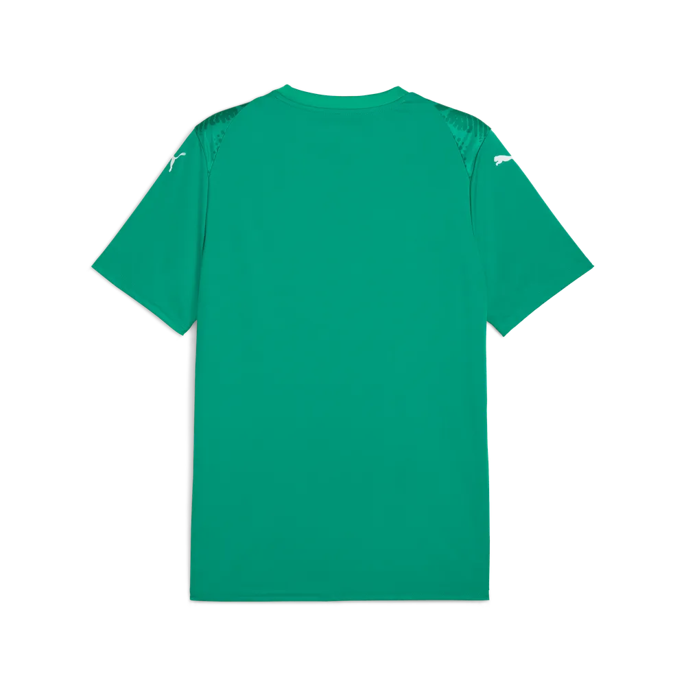 Футболка PUMA teamULTIMATE Jersey 706280 thumbnail 2
