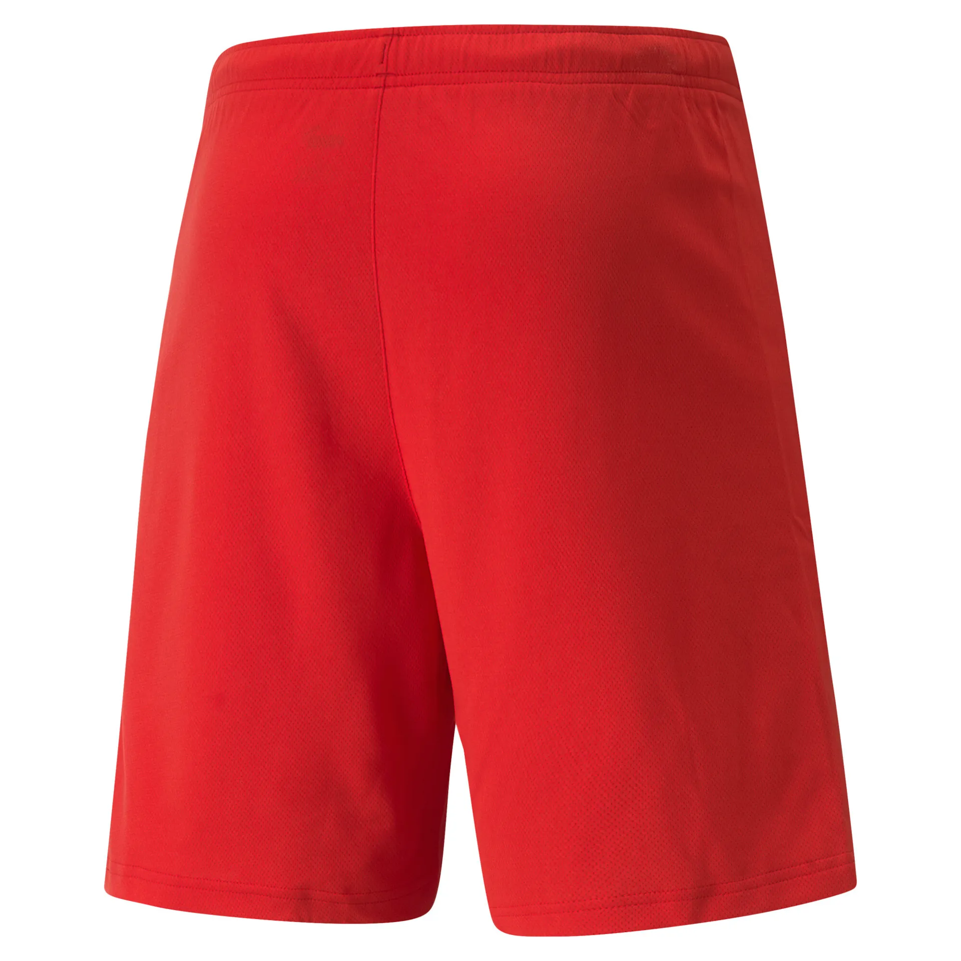 Шорти PUMA teamRISE Shorts 704942 thumbnail 2
