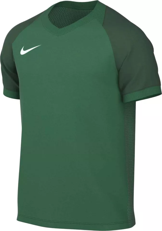 Футболка Nike Trophy VI HV8151 Зелений