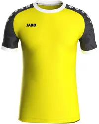 Футболка JAKO ICONIC 4224