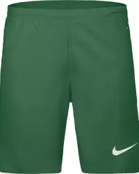 Шорти Nike Laser VI HV8244