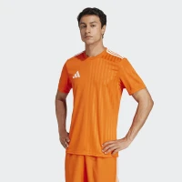 Футболка Аdidas Campeon 25 