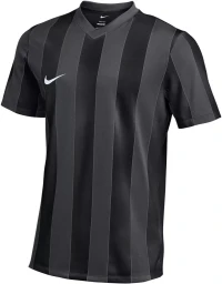 Футболка Nike Striped Division V FZ9337