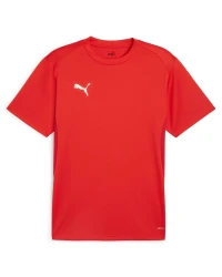 Футболка PUMA teamGOAL Jersey 658636