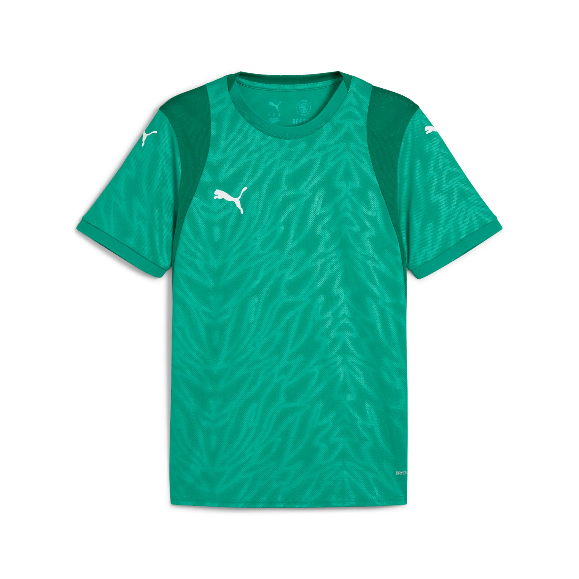 Футболка PUMA teamCUP Jersey 706272 зелений