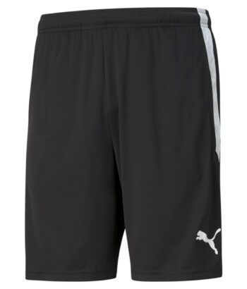 teamLIGA Training Shorts 657249