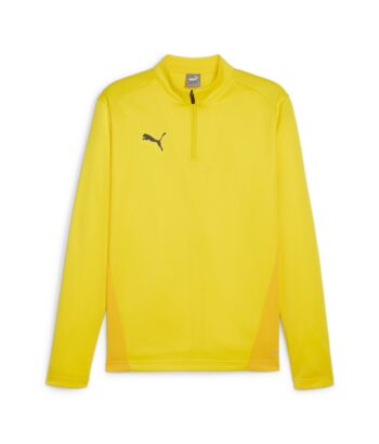 teamGOAL 23 Training 1/4 Zip Top 658629