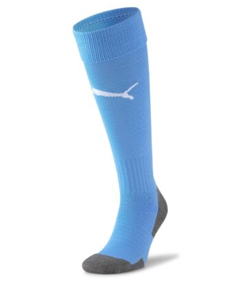 Team LIGA Socks CORE 703441