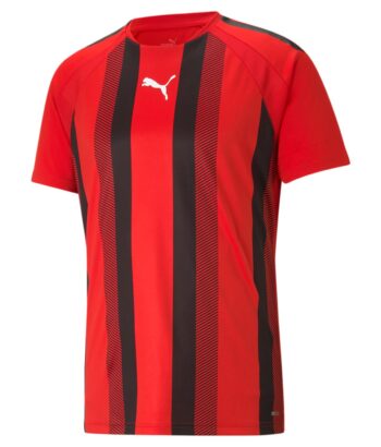 teamLIGA Striped Jersey 704920