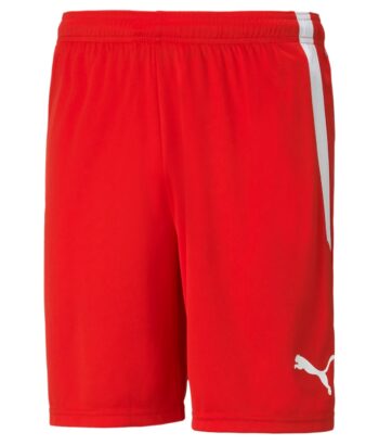 teamLIGA Shorts 704924