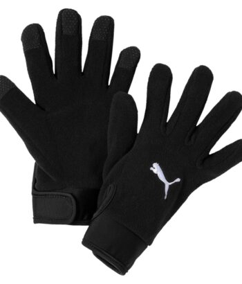 teamLIGA 21 Winter gloves 041706