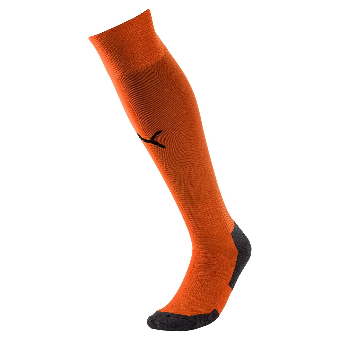 Team LIGA Socks CORE 703441