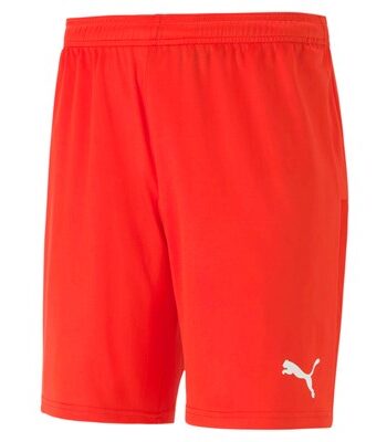 teamGOAL 23 Shorts Jr 705752