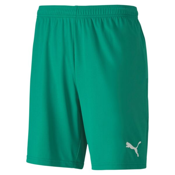 teamGOAL 23 Shorts 705752