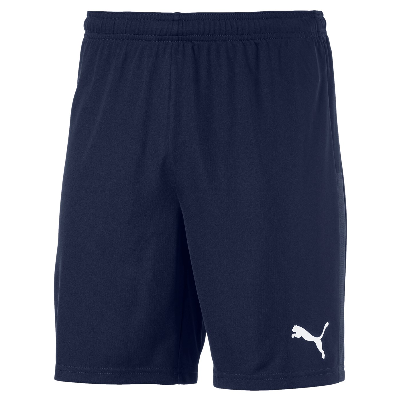 teamGOAL 23 Shorts Jr 705752