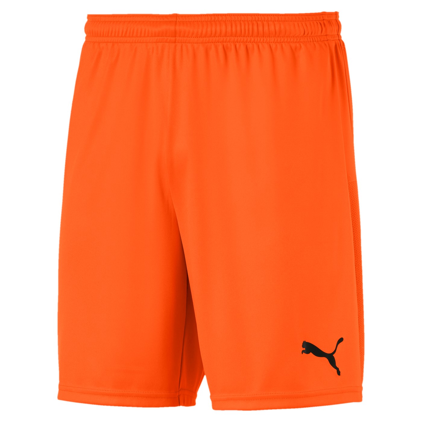 teamGOAL 23 Shorts Jr 705752