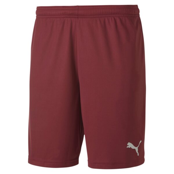 teamGOAL 23 Shorts 705752