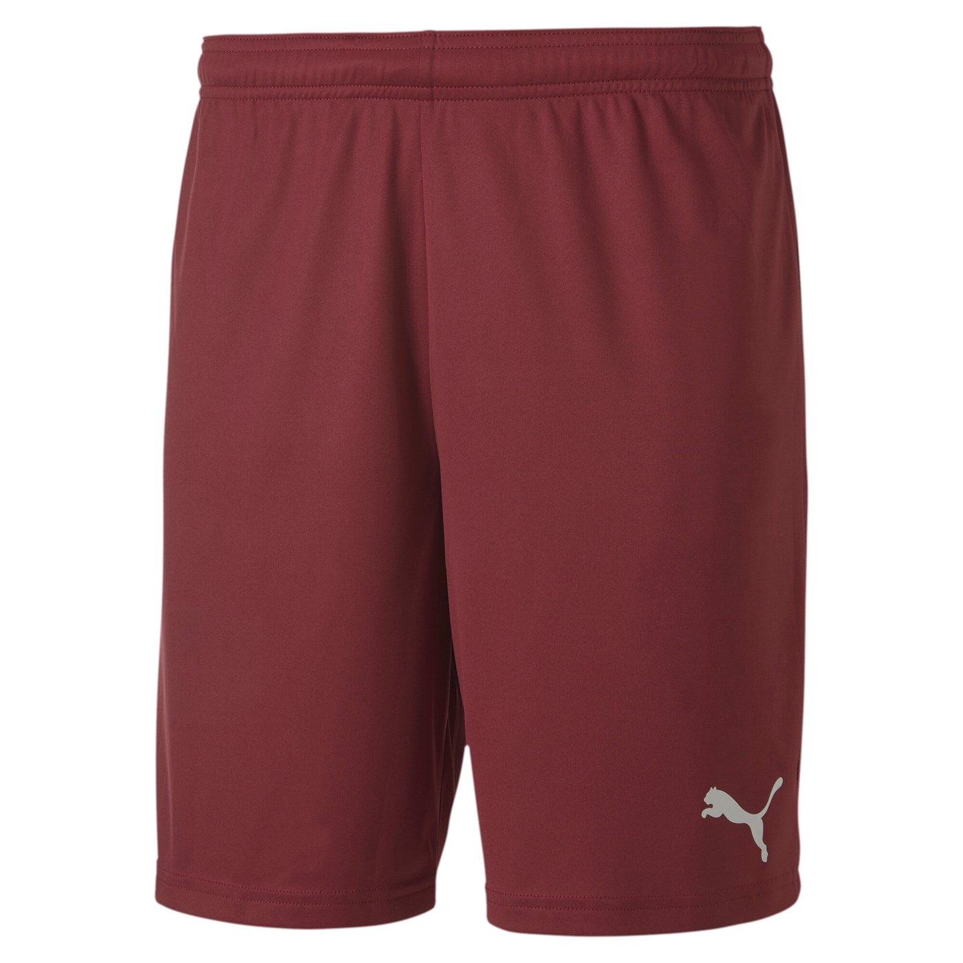 teamGOAL 23 Shorts Jr 705752