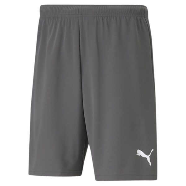 teamRISE Shorts Jr 704943