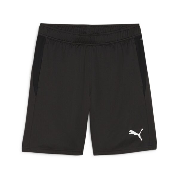 teamGOAL Training Shorts 658643